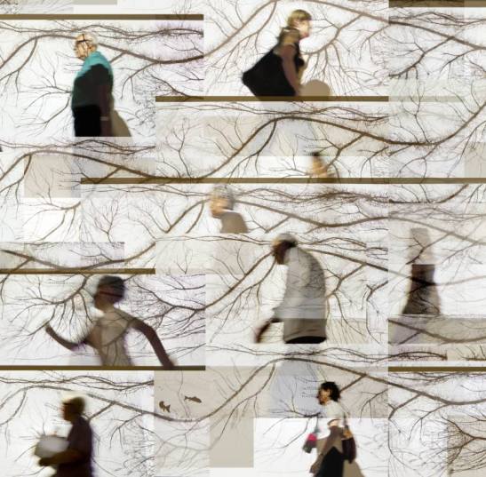 Evolution by Mario Rossi. Used with permission.